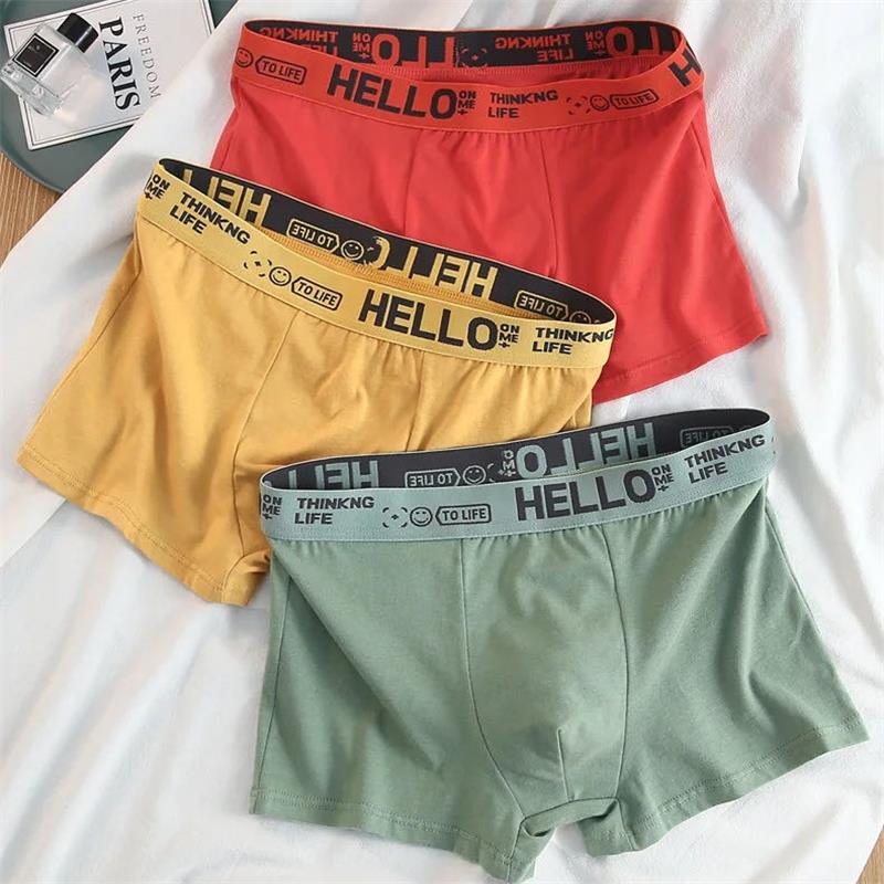 10 peças/roupa interior mascul - Boxer Brief Pack Cotton avaliação e preço